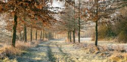Cale de Saint Perreux en hiver