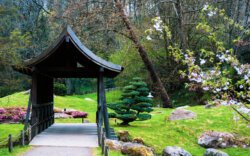 Maulévrier : jardin Japonais