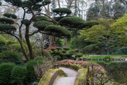 Maulévrier : jardin Japonais