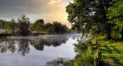 La cale à Saint Perreux
