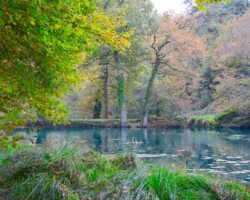 St Julien Renac