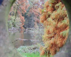 St Julien Renac