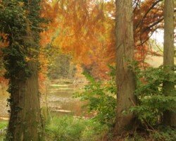 St Julien Renac