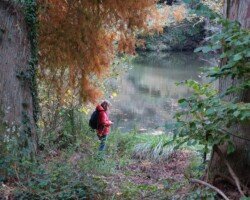 St Julien Renac