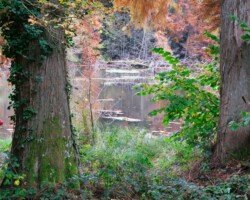 St Julien Renac