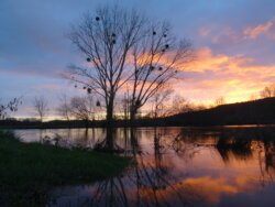 Crue de l'Oust