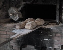 La Pihaudaie à Peillac