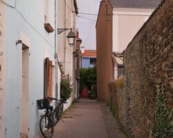 Trentemoult