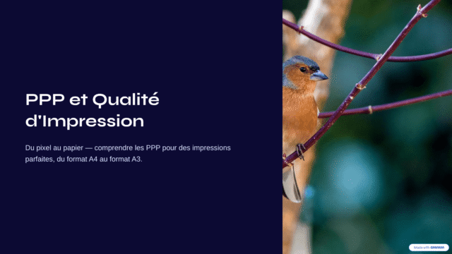 PPP et qualité d'impression