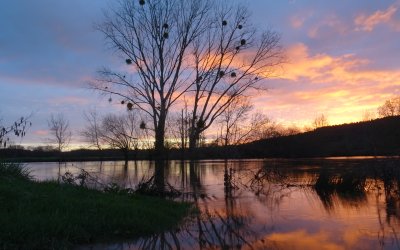 Crue de l'Oust